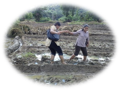 User Satisfaction Survey of the World Bank Funded Provincial Road Development Project